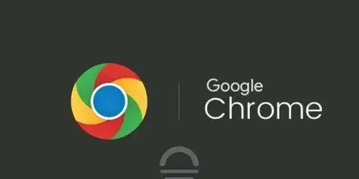 Google Chrome浏览器（谷歌浏览器） 稳定版